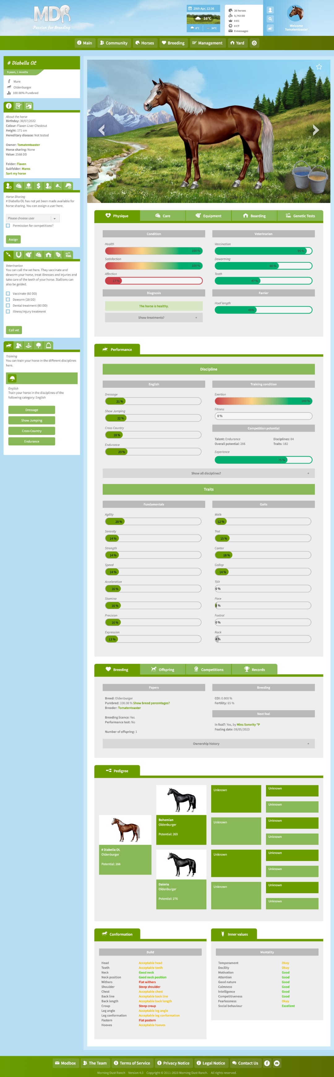 Horse profile page of MDR